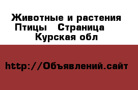 Животные и растения Птицы - Страница 2 . Курская обл.